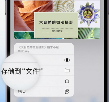 云城apple维修中心分享iPhone文件应用中存储和找到下载文件