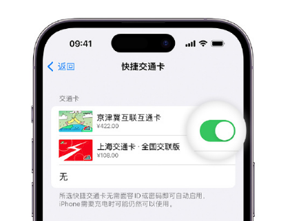 云城apple维修点分享iPhone上更换Apple Pay快捷交通卡手绘卡面 