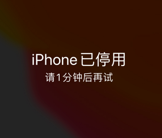 云城苹果手机维修分享:iPhone 显示“不可用”或“已停用”怎么办？还能保留数据吗？ 