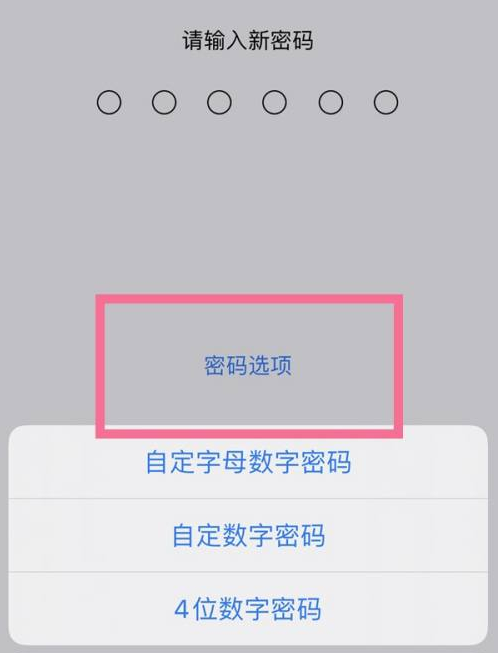 云城苹果14维修分享iPhone 14plus设置密码的方法 