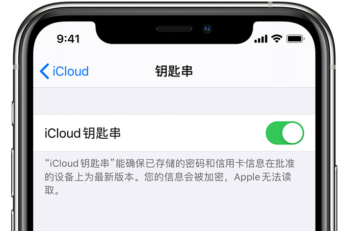 云城苹果手机维修分享在 iPhone 上开启 iCloud 钥匙串之后会储存哪些信息 