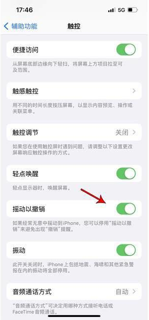 云城苹果手机维修分享iPhone手机如何设置摇一摇删除文字 